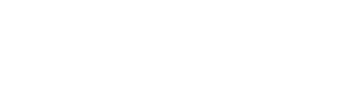 Só Técnico