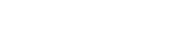 Técnico Virtual